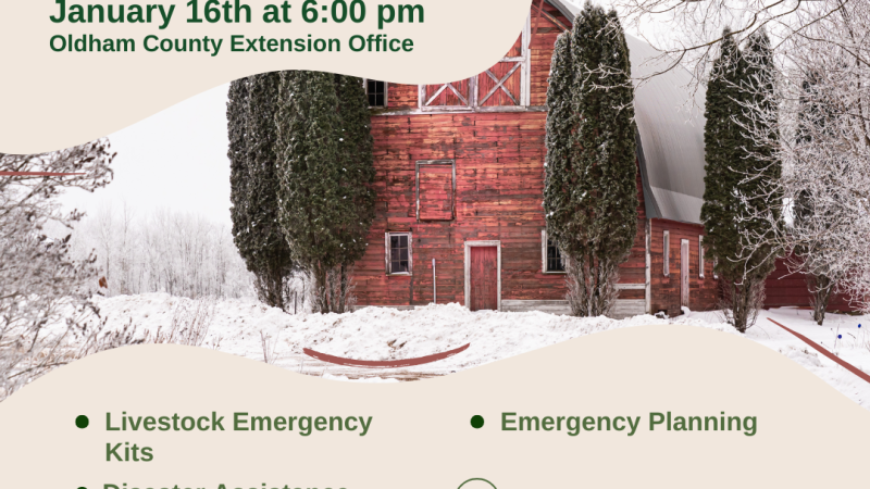 Barn in snow with evergreen trees